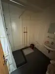 Kruvaziyer gemisi satılık