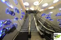 Ro-Ro gemisi satılık