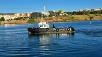 İş gemileri satılık