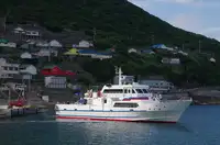 Dökme yük gemisi satılık
