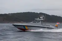 devriye botu satılık