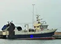 Balık işleme ve teslimatı için gemi satılık