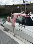 Pilot teknesi satılık