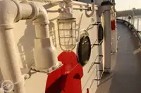 Feribot satılık