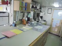 Devriye botu satılık