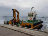 Çok amaçlı satılık