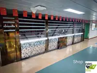 Ro-Ro gemisi satılık