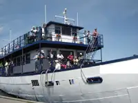 Kruvaziyer gemisi satılık