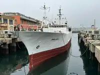 Trol gemisi satılık