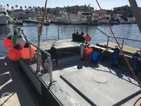 Trol gemisi satılık