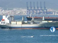 Soğutmalı gemi satılık