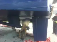 Mürettebat teknesi satılık