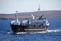 Dökme yük gemisi satılık