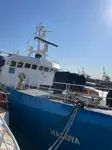 soğutuculu gemi satılık