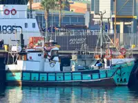 Purse seiner satılık