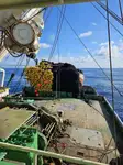 Purse seiner satılık