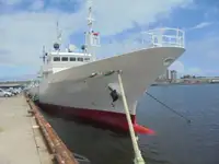 devriye botu satılık