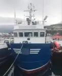 İş gemileri satılık