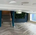 Kruvaziyer feribotu satılık