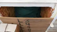 Trol gemisi satılık