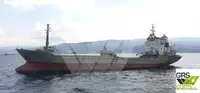 Yığın taşıyıcı satılık