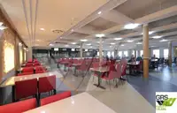 Ro-Ro gemisi satılık