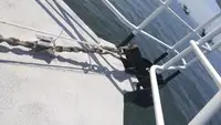 Mürettebat teknesi satılık