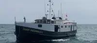 Römorkör satılık