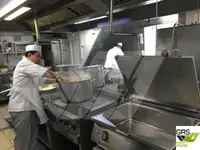 Kruvaziyer gemisi satılık