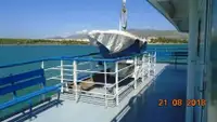 Ro-Ro ship satılık