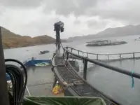 İş gemileri satılık