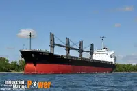 Yığın taşıyıcı satılık