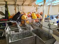Uzun hatlı balıkçı gemisi satılık