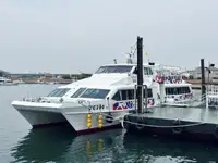 Yolcu gemisi satılık