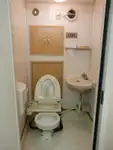 Devriye botu satılık