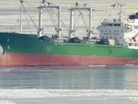 Soğutmalı gemi satılık