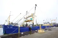 Kruvaziyer gemisi satılık