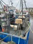 Canlı balık taşıyıcı satılık