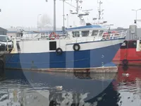 Canlı balık taşıma gemisi satılık