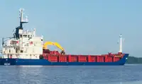 Yığın taşıyıcı satılık