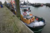 Trol gemisi satılık