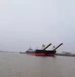 Yığın taşıyıcı satılık