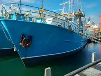 Trawler satılık