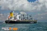 Yığın taşıyıcı satılık