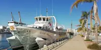 Feribot satılık