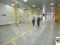 RoPax gemisi satılık