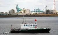 Mürettebat botu satılık