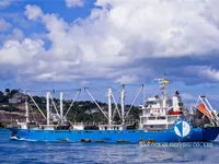 Soğutmalı gemi satılık