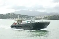 Çıkarma aracı, tank satılık
