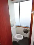 Kruvaziyer gemisi satılık
